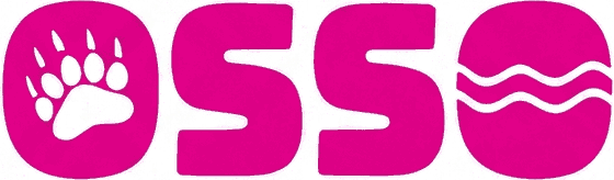 אוסו